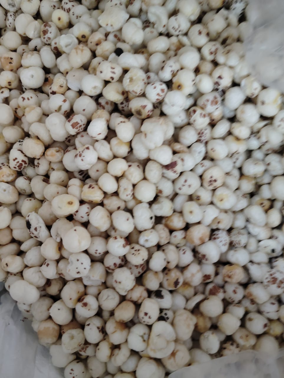 Bulk Raw Makhana Order (4 Suta)
