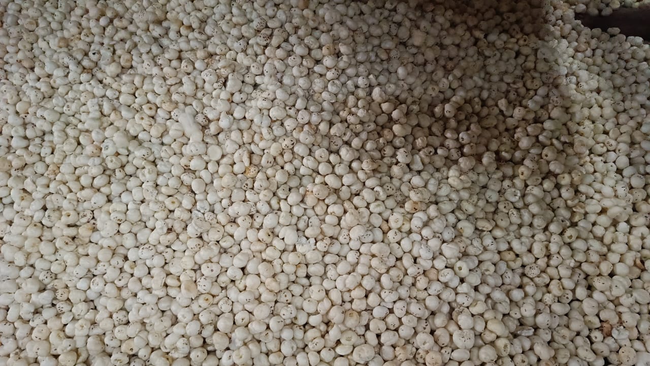 Bulk Raw Makhana Order (5 Suta)